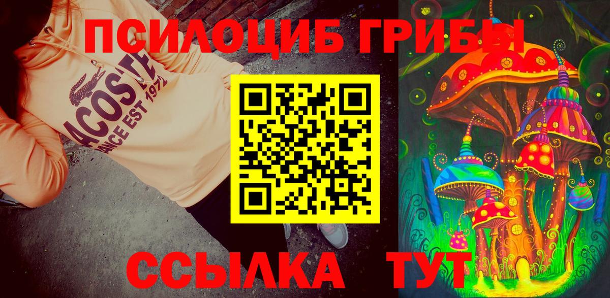 Шахты  Галлюциногенные грибы мухоморы  Вход с VPN  Галлюциногенные грибы Psilocybe 